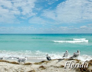 Florida Vacations FL Hotel Deals